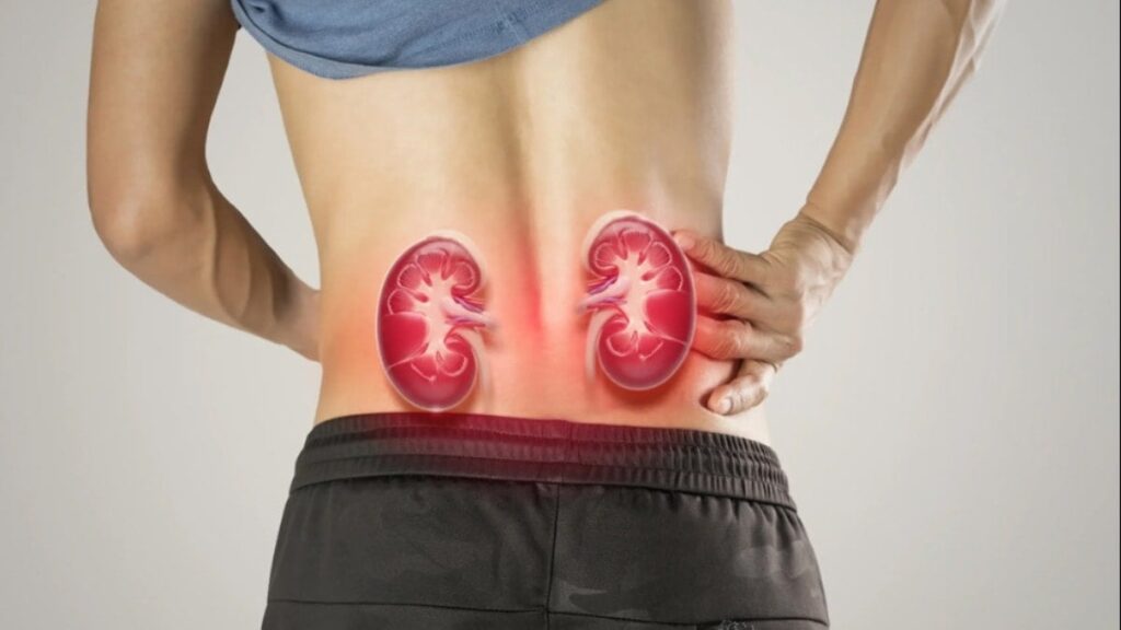 Böbrekleri bitiren hatalar