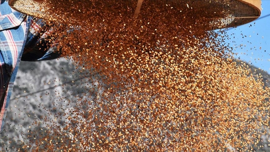 Her gün yiyoruz meğer sağlığa zararlıymış