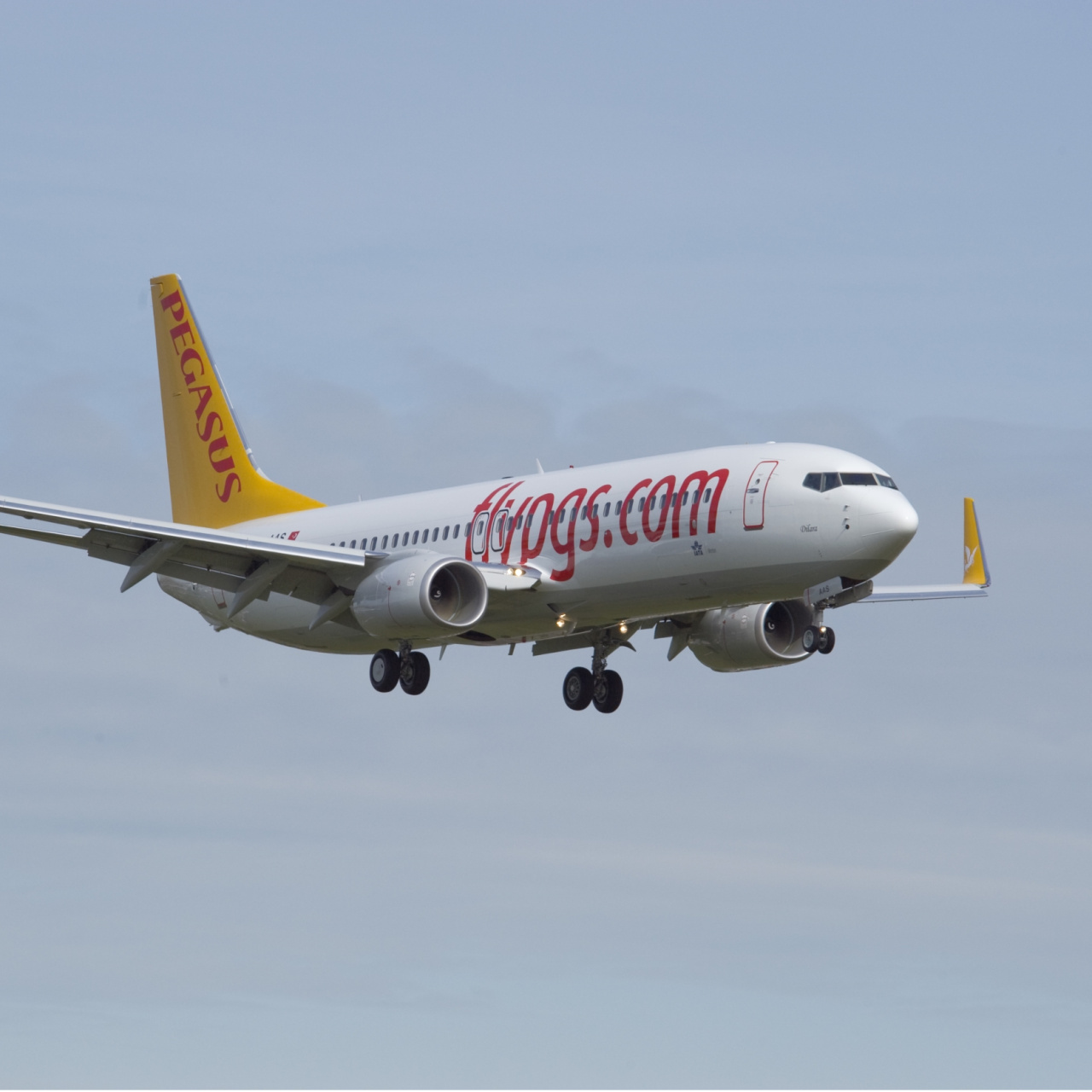 Pegasus, Çek Hava Yolları’nı satın alıyor