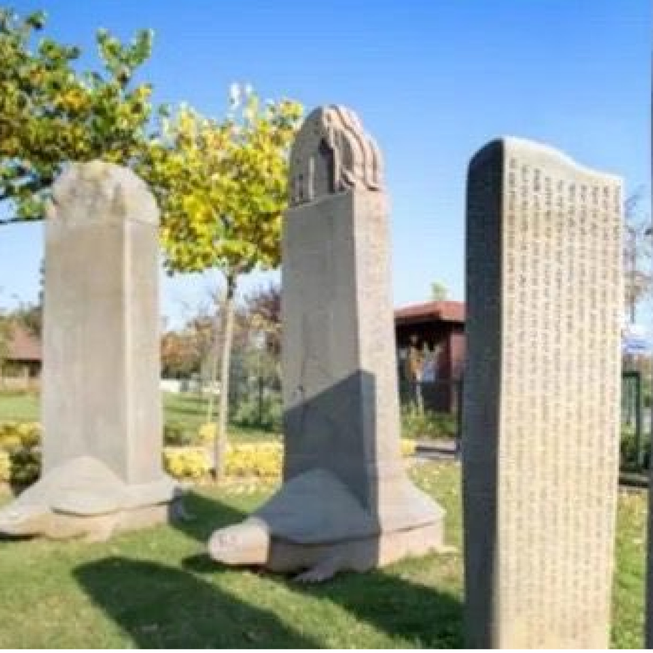 ‘Türk Dili’nin küresel zaferi’