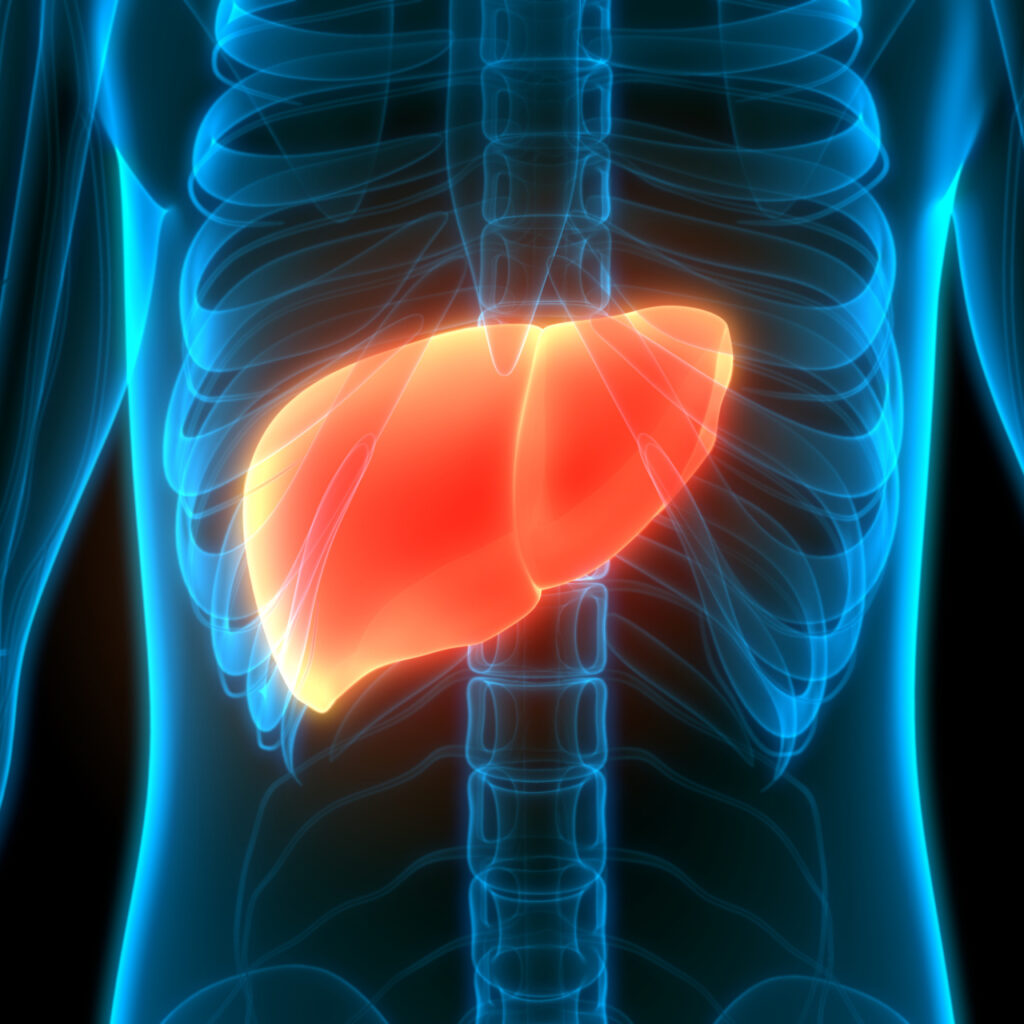 Türkiye’de her 2 kişiden 1’i yağlı karaciğer hastası