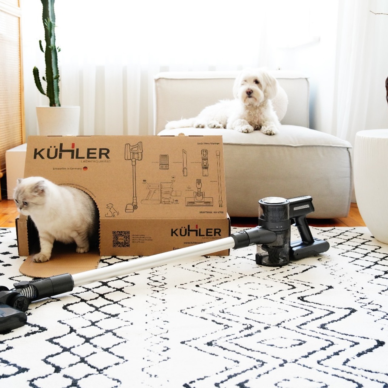 Ürün ambalajları sokak hayvanlarına ev oluyor