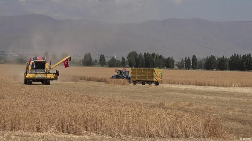 Asgari ücret zammı emeğin büyümeden aldığı pay nasıl düştü | bursada biz | bursadan güncel haberler Büyüme verilerine göre tarım sektöründe yüzde 127 daralma kaydedildi