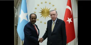 Cumhurbaşkanı Erdoğan, Hasan Şeyh Mahmud ile görüştü