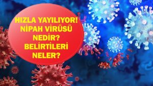 NİPAH VİRÜSÜ NEDİR? Nipah Virüsü Belirtileri Neler? Hindistan’da Başladı! Ölümcül Riski Var!