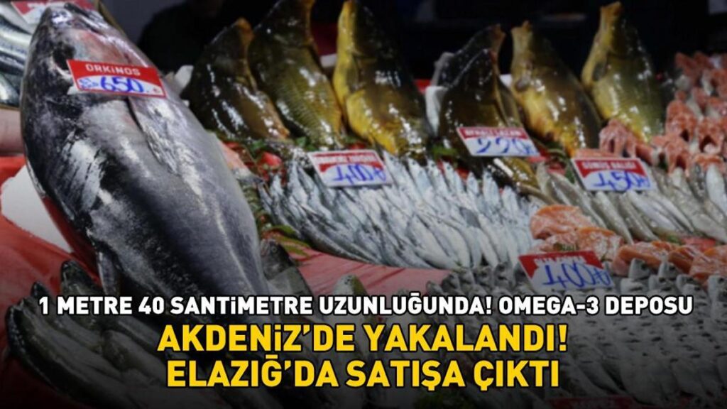 Akdeniz’de yakalandı, Elazığ’da satışa çıktı! Kilosu 650 lira! Omega-3 deposu: Kalp sağlığını koruyor, kötü kolesterolü düşürüyor