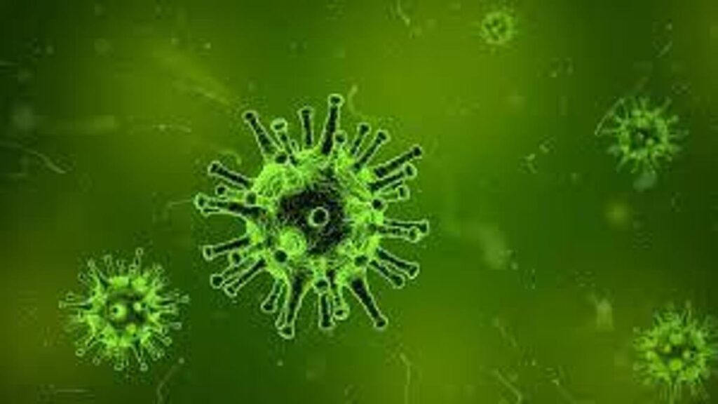 COVİD’DEN 5 KAT DAHA ÖLDÜRÜCÜ! Nipah virüsü yeni pandemi habercisi mi?