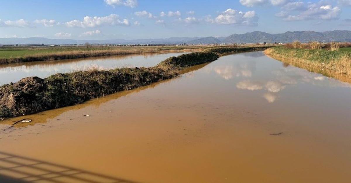 Menderes Nehri taştı