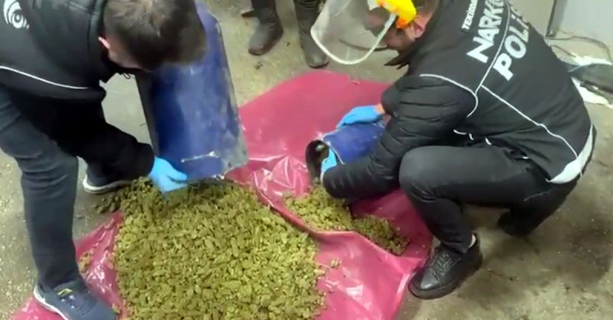 Otomobilden 24,5 kilo skunk çıktı