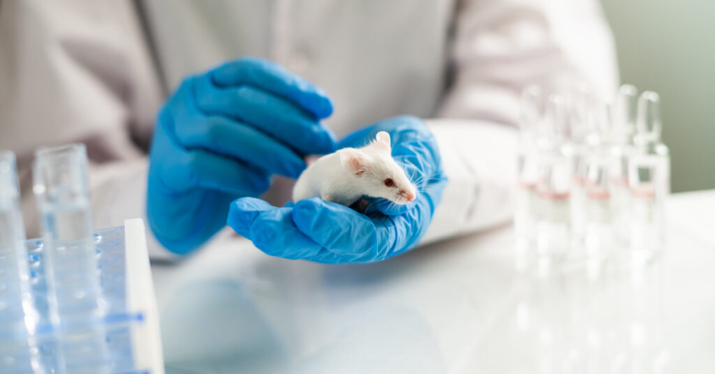 Pankreas kanserini tedavi eden araştırmacılara klinik deneyler için en az 30 milyon euro gerekiyor