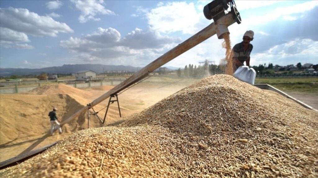 Güneydoğu Anadolu’nun 2 aylık hububat ihracatı 552,8 milyon dolar
