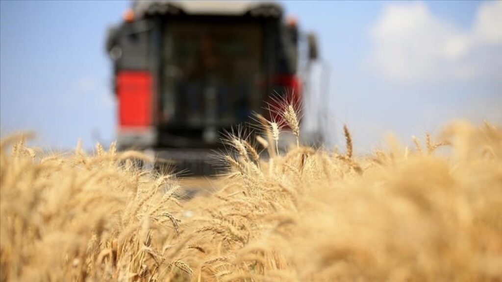 Orta Doğu gerilimi tarım ve gıda fiyatlarını etkiledi