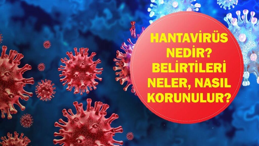 Hantavirüs Alarmı: Hantavirüs Nasıl Bulaşır? Erken Belirtiler Neler, Nasıl Korunulur? MV Hondius Gemisinde Şüpheli Salgın!