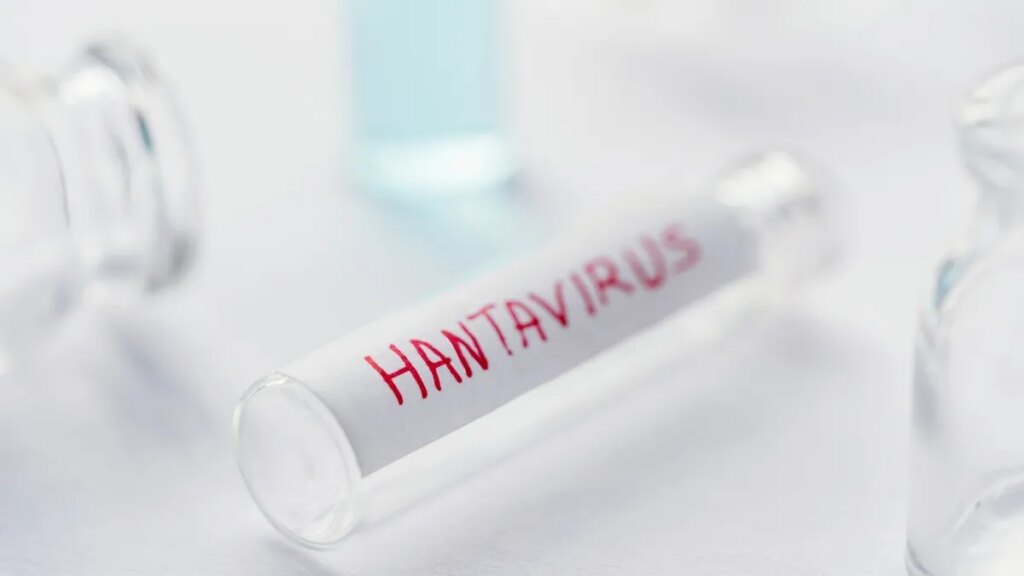 Hantavirüs nedir, nasıl bulaşır? Belirtileri neler?