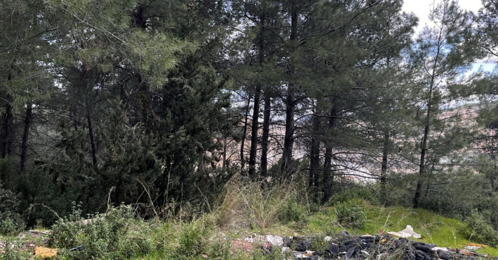 Danıştay’dan ‘Akbelen’ kararı