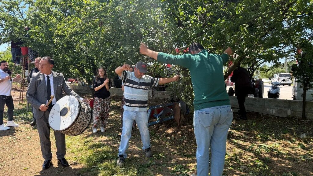 Bursa’da erik hasadı, davul zurna ile yapıldı