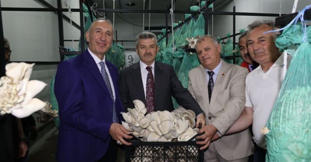 Tünelde ilk mantar hasadı