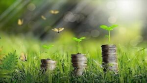 Enerji verimliliği ve karbon azaltımı kriterlerine uyan işletmelere destek programı