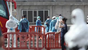 Kemirgenlerden bulaşan virüs 3 can aldı! Yetkililer ölümleri doğruladı